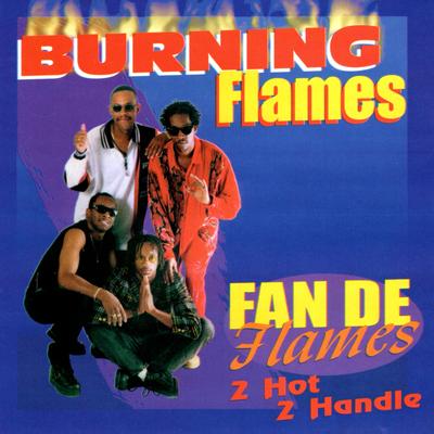 Fan De Flames: 2 Hot 2 Handle's cover