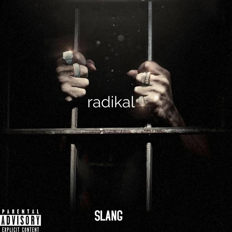 SLANG's avatar image