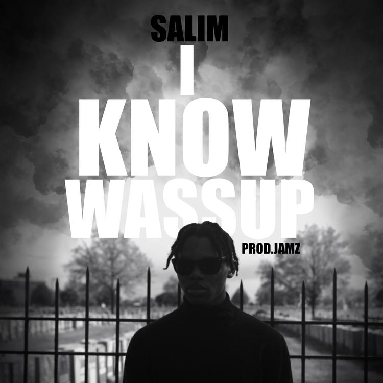 Salim's avatar image