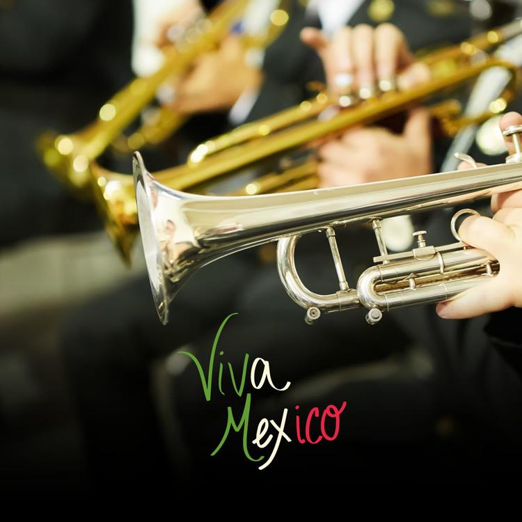 Orquesta Viva México's avatar image