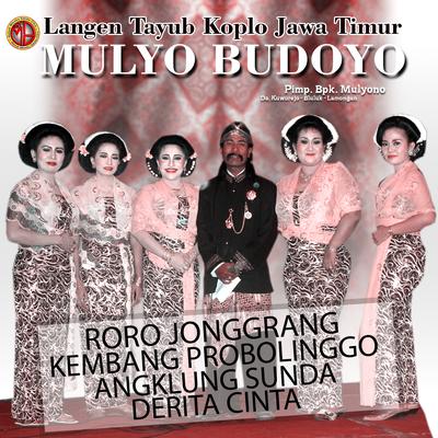TAYUB MULYO BUDOYO, Vol. 4's cover