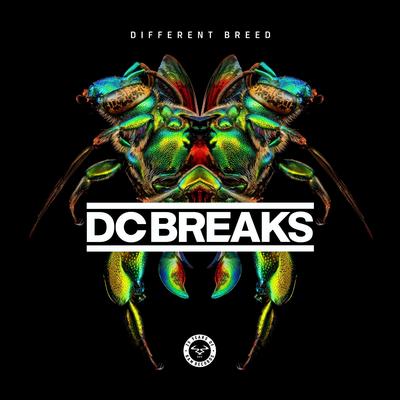 Infinity By DC Breaks, Prolix's cover