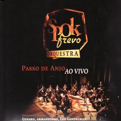 Vassourinhas (Ao Vivo) By Spok Frevo Orquestra's cover