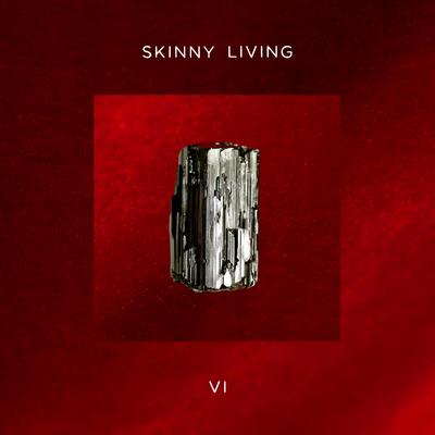 Why By Skinny Living's cover