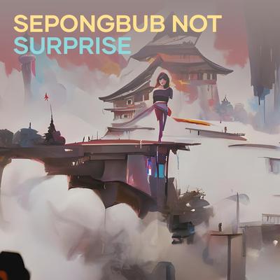 Sepongbub Not Surprise's cover