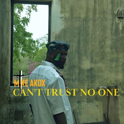 Can't Trust No One By Mike Akox's cover