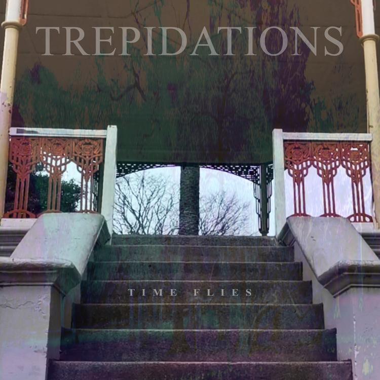 Trepidations's avatar image