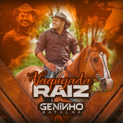 vaquejada raiz's cover