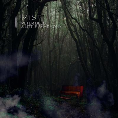 Mist By Peter Belec, Little Symphony's cover