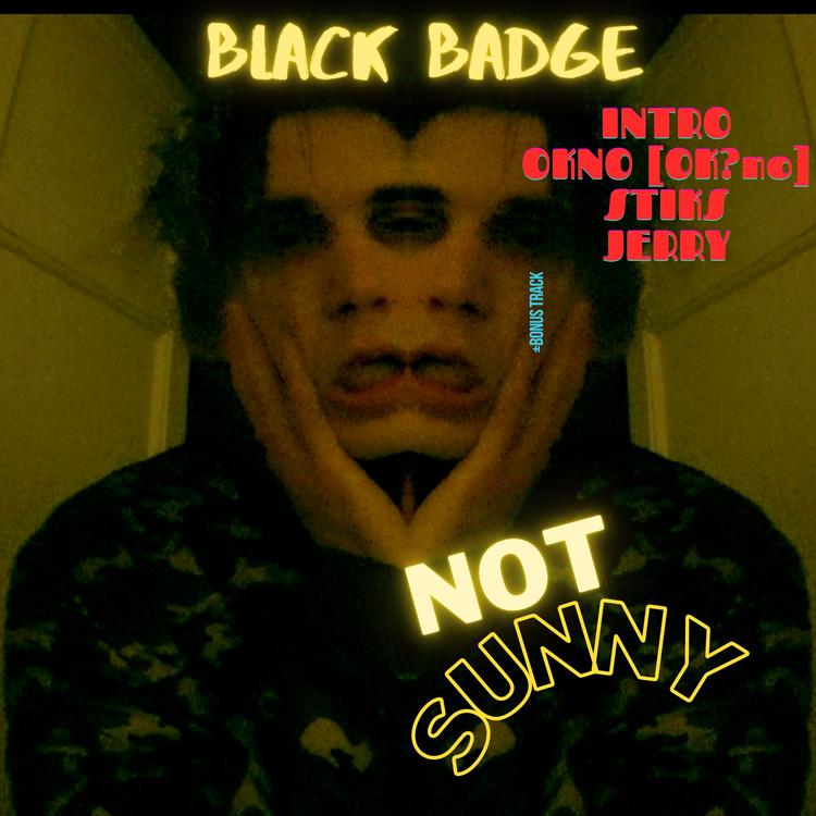 BLACK BADGE's avatar image
