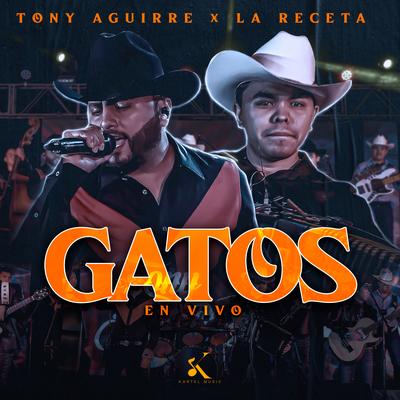 Gatos (En Vivo) By Tony Aguirre, La Receta's cover