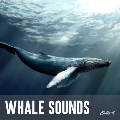 Mystical Whale By Chillpill's cover