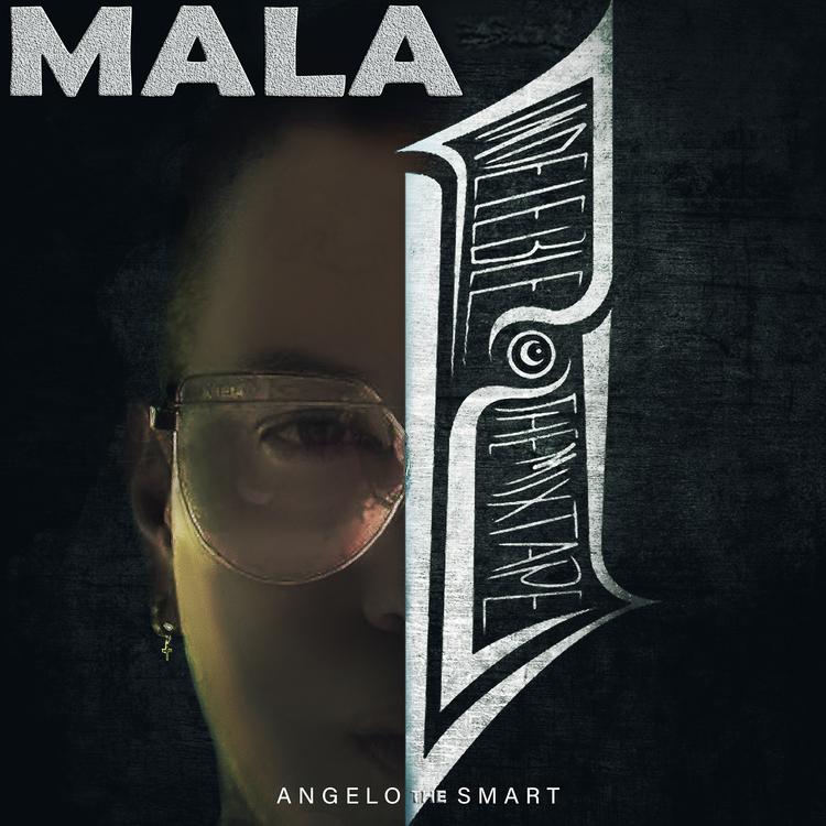 Angelo The Smart's avatar image
