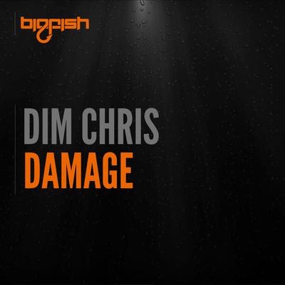 Damage (Original Mix) By Dim Chris's cover