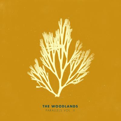 Sudden Love  (Acoustic) By The Woodlands's cover