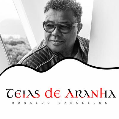 Teias de Aranha By Ronaldo Barcellos's cover