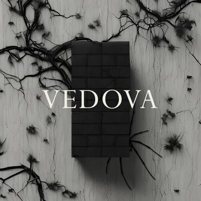 Vedova's cover