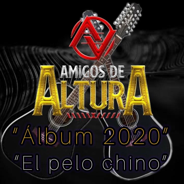 Amigos De Altura's avatar image