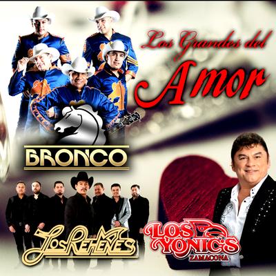Los Grandes de Amor's cover