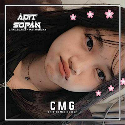 ADIT SOPAN RMX's cover