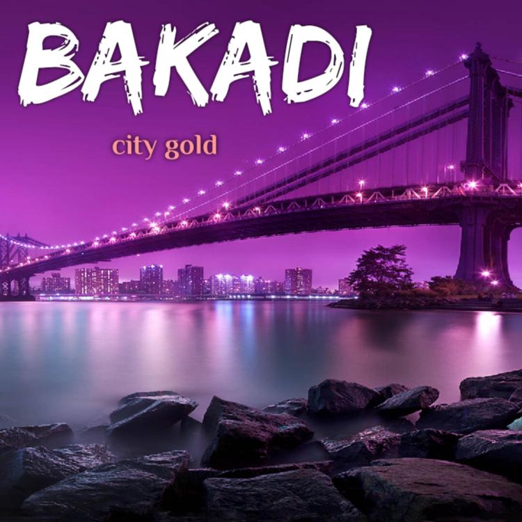 Bakadi's avatar image