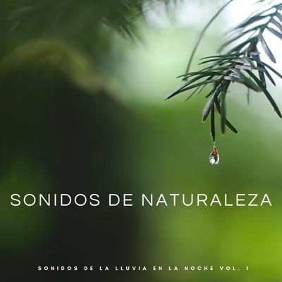 Sonidos De La Naturaleza: Sonidos De La Lluvia En La Noche Vol. 1's cover