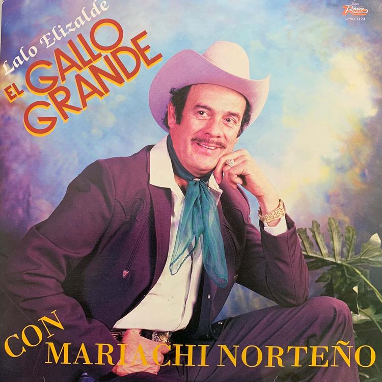 Lalo Elizalde "El Gallo Grande"'s avatar image