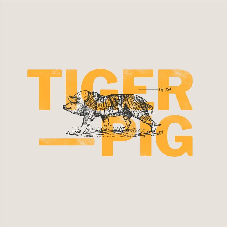 Tiger-Pig's avatar image