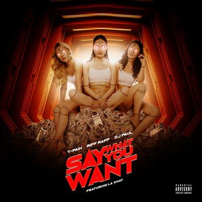 Say What You Want's cover