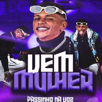 Passinho na voz's avatar cover