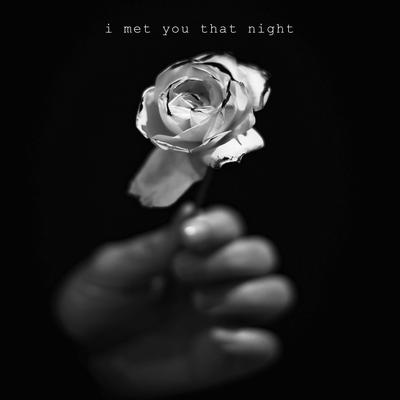 I Met You That Night's cover