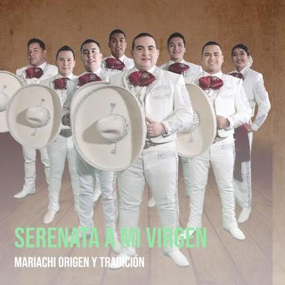 Mariachi Origen Y Tradición's cover