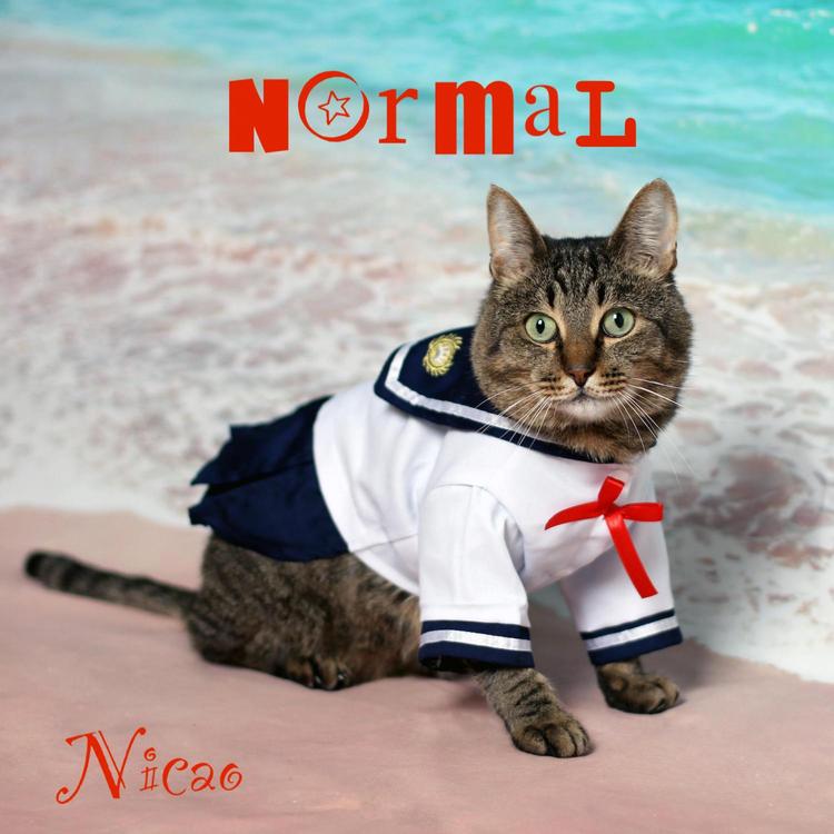 Nicão's avatar image