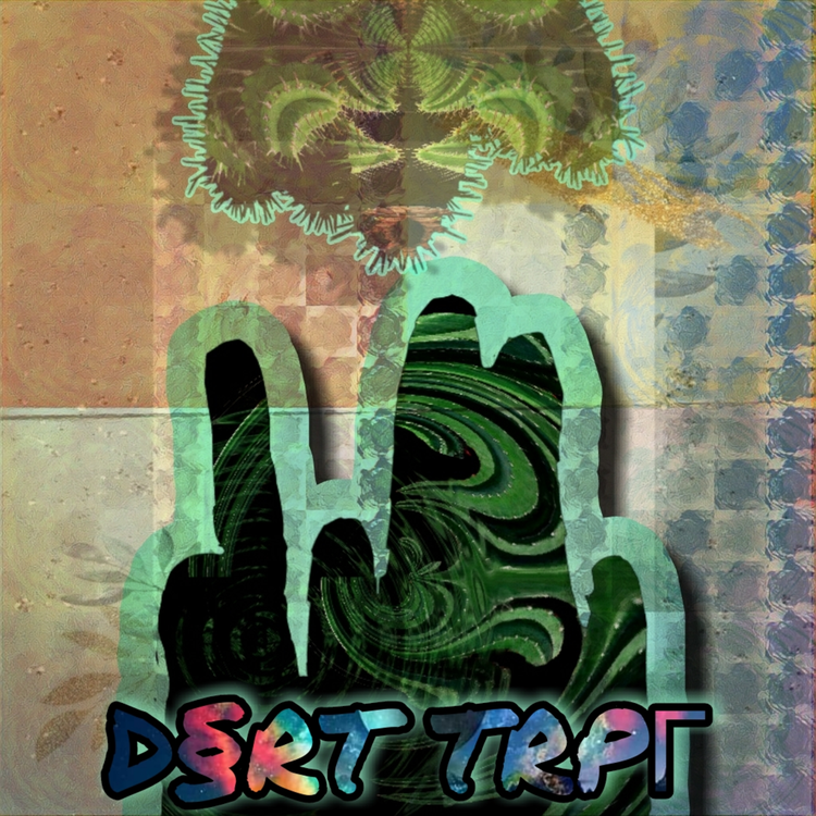 DSRT TRPR's avatar image