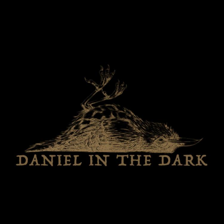 Daniel in the Dark's avatar image