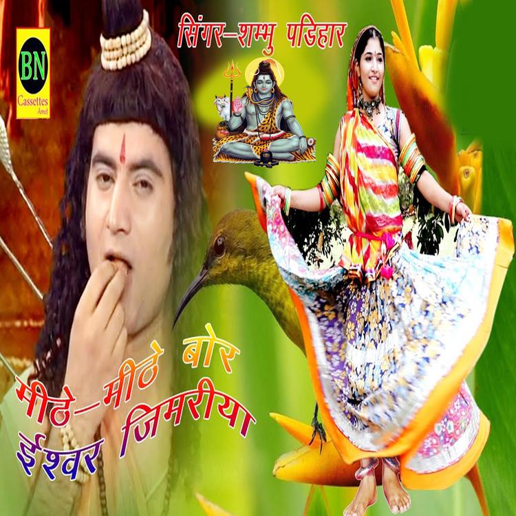 Shambhu Padihar's avatar image