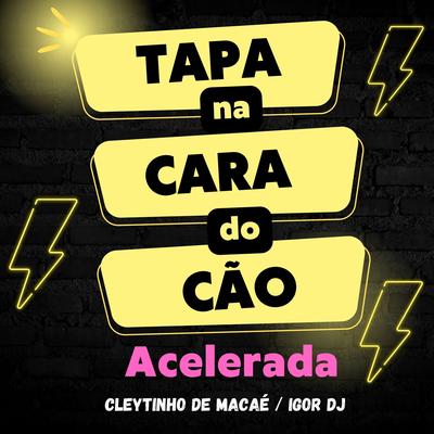 Tapa na Cara do Cão Acelerada By Igor Dj, Cleytinho de Macaé, Junior Souto's cover