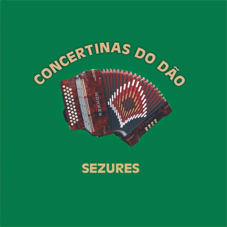 Concertinas do Dão's avatar image
