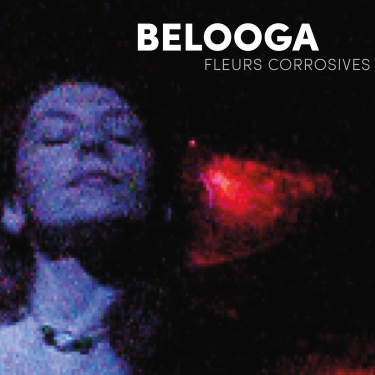 Belooga's avatar image