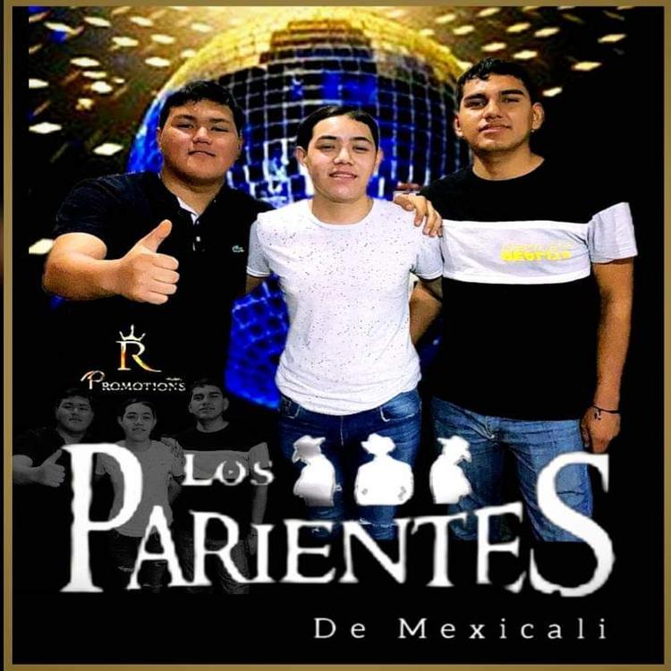 los parientes de mexiali's avatar image