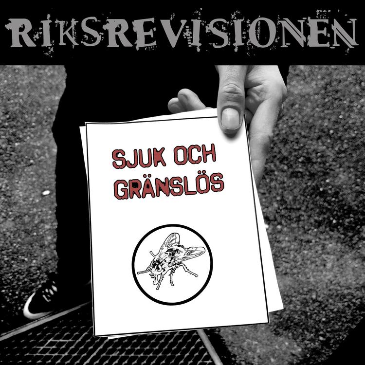 Riksrevisionen's avatar image