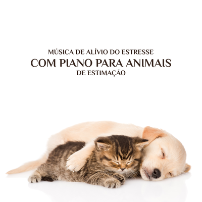 Música de Alívio do Estresse com Piano para Animais de Estimação's cover