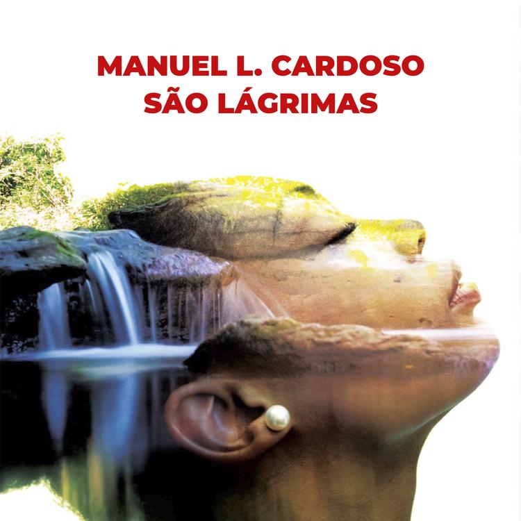 Manuel L. Cardoso's avatar image
