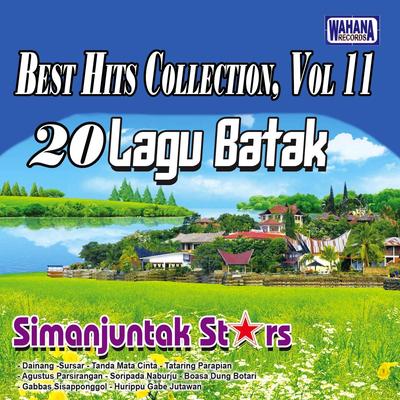 Best Hits Collection, Vol. 11's cover