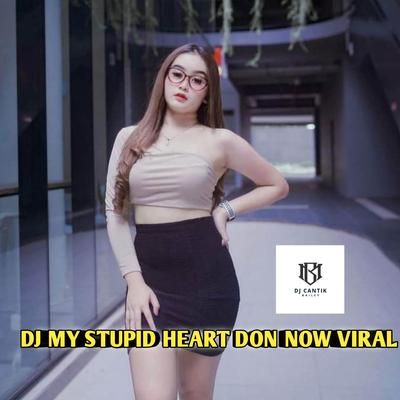 DJ MY STUPID HEART DON NOW's cover