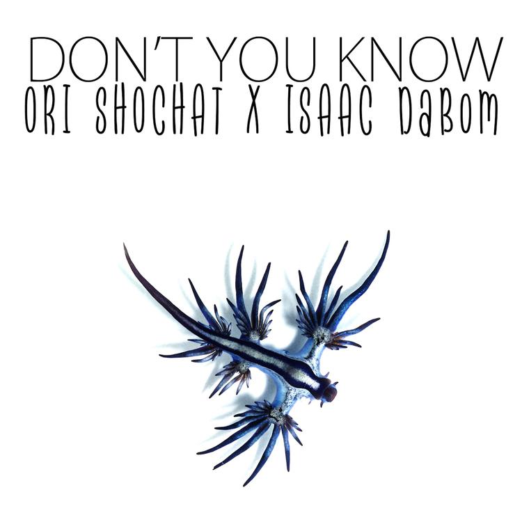 Ori Shochat & Isaac DaBom's avatar image