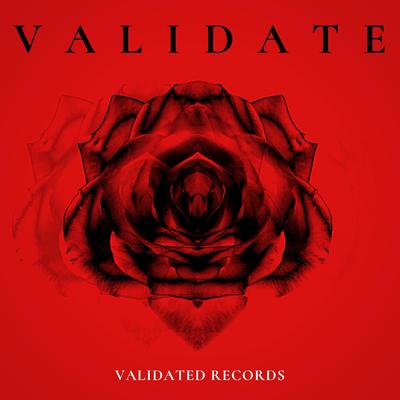 Validated Records's cover