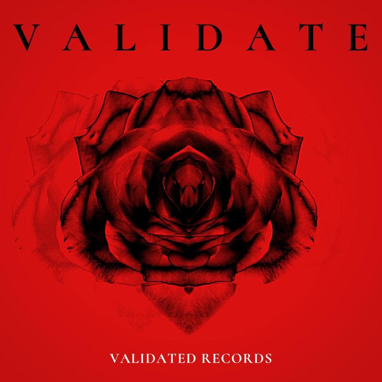 Validated Records's avatar image