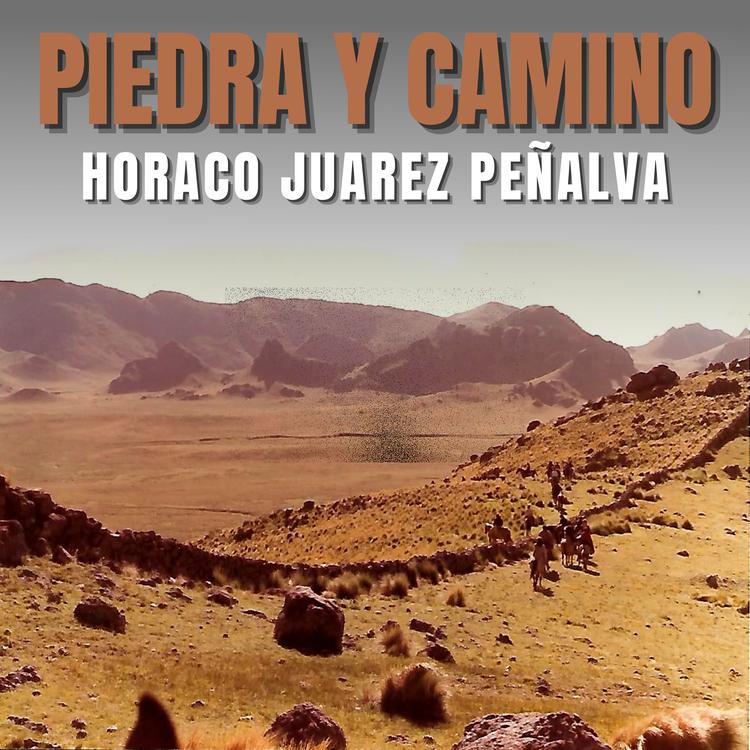 Horaco Juarez Peñalva's avatar image