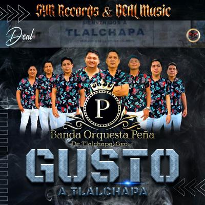 Banda Orquesta Peña De Tlalchapa. Gro.'s cover